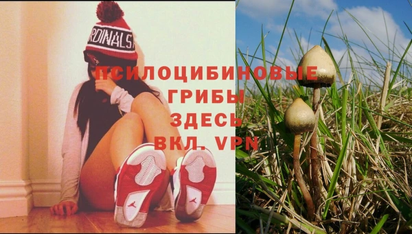 мдпв Кинешма
