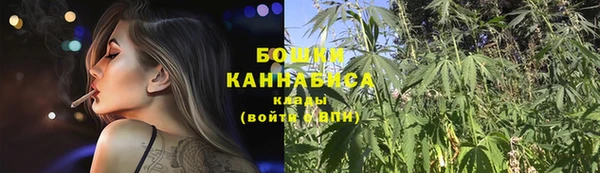 мдпв Кинешма